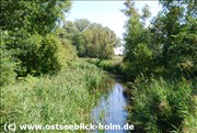heidkateDSC_0081
